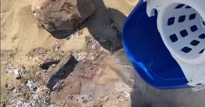 Shocking video shows how hot BBQ embers left on Welsh beach still are morning after they were left