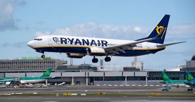 Ryanair flag theory debunked as major feature on planes leaves people with questions