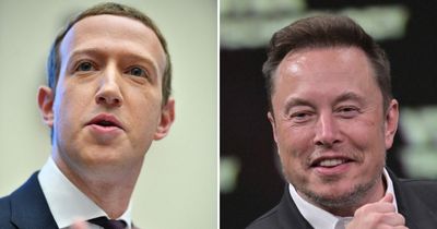 Elon Musk vs Mark Zuckerberg fight: Training, odds and is it really happening?