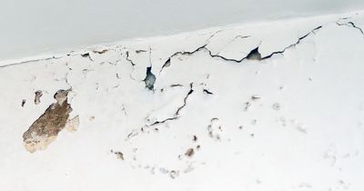 Building expert warns of DIY decorating mistake that could cost thousands to repair