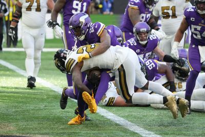 Vikings 90-man roster player profile: CB Tay Gowan