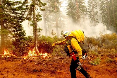 LOCALIZE IT: The U.S. government's program to reduce wildfire risk to communities near federal land