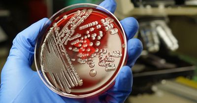 Second childcare setting identified in E.coli probe