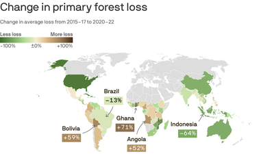 Deforestation's hot spots in 2022