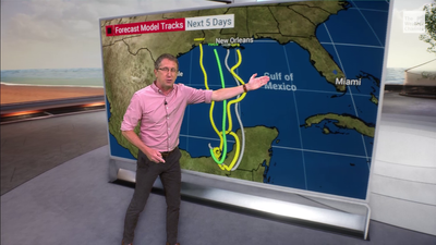 The Weather Channel Offers Streaming App Access To Vizio Customers