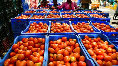 Opposition slams Centre’s policies for tomato price rise