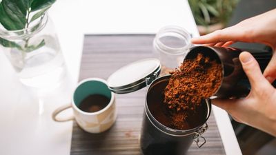 How to store coffee grounds and why they shouldn't be in the refrigerator