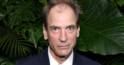 Julian Sands confirmed dead after remains of actor found in California mountains