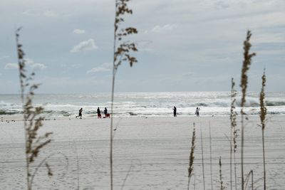 Hazardous water warnings as Gulf of Mexico rip currents kill 11 people in two weeks in Florida and Alabama