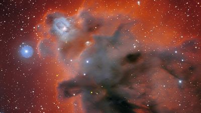 Dark nebula dominates gorgeous new view of Orion constellation (photo)