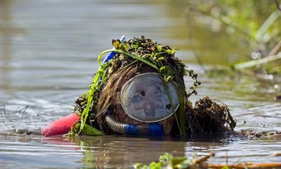 Let the bog snorkelling commence! 10 of the weirdest sporting events in the UK