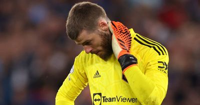 Erik ten Hag's U-turn on David de Gea becomes clear after talks with £50m replacement