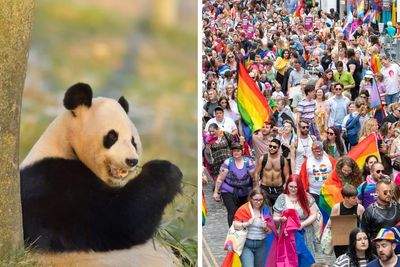 Edinburgh Zoo defends tweet celebrating LGBT+ Pride after Twitter backlash