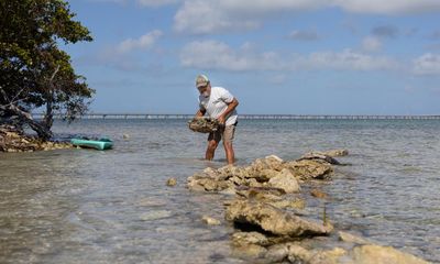 A couple’s quixotic quest to save their drowning island – one rock at a time
