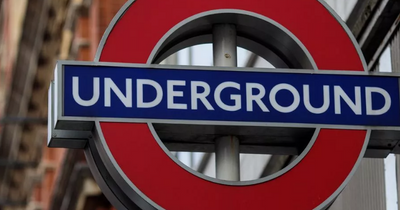 Man dies after 'stabbing himself to death' in front of commuters on London underground