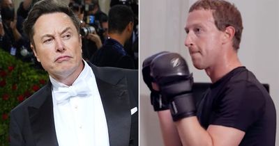 Elon Musk pictured training for billionaire brawl with Mark Zuckerberg