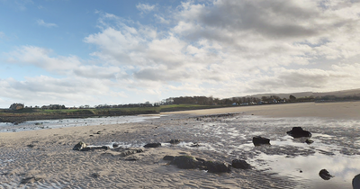 East Lothian locals issued warning as strange venomous fish stings beachgoers