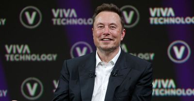 Elon Musk to train with UFC legend in preparation for Mark Zuckerberg fight