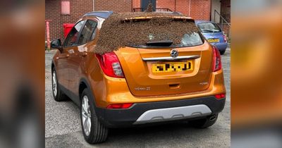 Shop worker returns to car to find it covered in thousands of bees