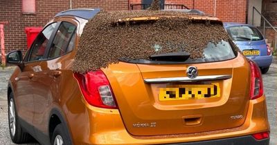 Shop worker parks new car and returns to find it covered in thousands of bees