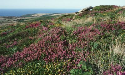 Natural England designates Cornish moorland a nature conservation area