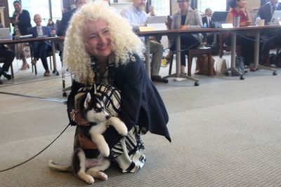 UConn introduces Siberian husky pup Jonathan XV as the school's next mascot