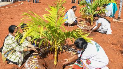 Centre moots ‘market’ scheme to promote sustainable living