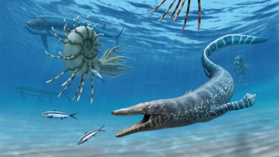 94 million-year-old fossilized sea monster is the oldest of its kind in North America