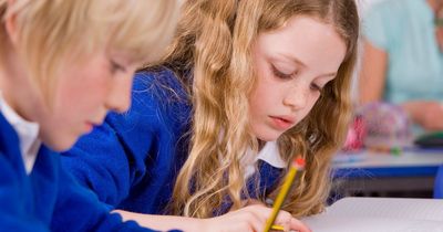 Children's maths question sparks online debate as adults can't solve 'simple' problem