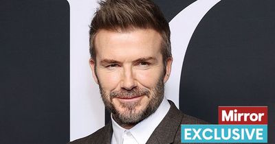 David Beckham could soon be growing his own veg after applying to install greenhouse
