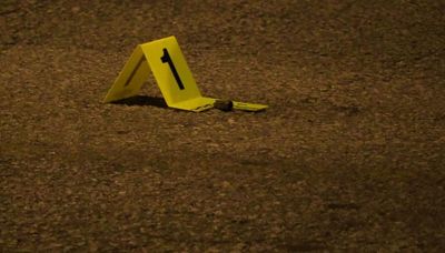 Two men, 31 and 20, slain in Englewood