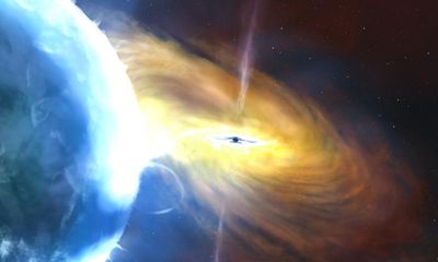 Astronomers detect ‘cosmic bass note’ of gravitational waves
