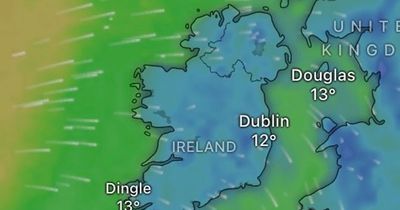 Dublin weather: Met Eireann issue gloomy forecast with 'unseasonably' windy conditions