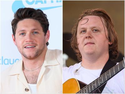 Niall Horan shares support for friend Lewis Capaldi after Scottish singer announces tour break