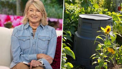 Want a shortcut to DIY composting? Martha Stewart's recipe is fail-safe and so easy