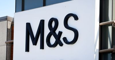 M&S shoppers hail £19.50 dress which 'suits all shapes and sizes'