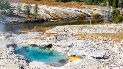 "How to end up ramen" – Yellowstone tourist strays off boardwalk to lean over boiling geyser