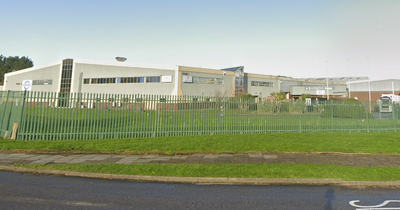 Hundreds of jobs at threat at South Wales hip replacement factory