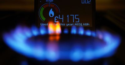 Energy prices predicted to fall further within months