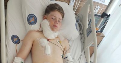 Mum feared son 'was going to die' after falling through glass door on holiday