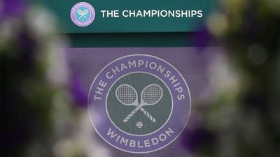 Security 'uplifted', say Wimbledon organisers after protestors disrupt Ashes Test