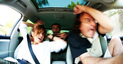 Driving expert issues wasp warning as motorists urged to 'stay calm' on road
