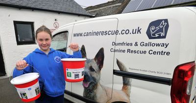 Every dog will have its day at Dumfries rescue centre fun day this weekend