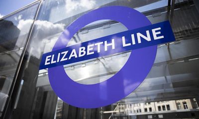Swan on the tracks halts trains on London’s Elizabeth line
