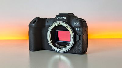 Canon EOS R8 review: Lightweight, versatile and affordable
