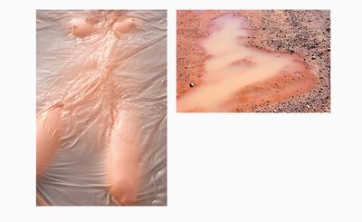 The nude female body assumes an otherworldly sensuality in new photo book