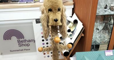 Edinburgh locals in stitches at 'concerning' coat stand spotted in charity shop