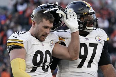 Steelers DT Cam Heyward poses fascinating question for fans