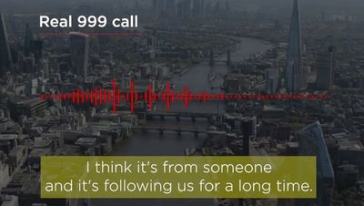 Listen: Londoner calls 999 to report being chased by cat to police