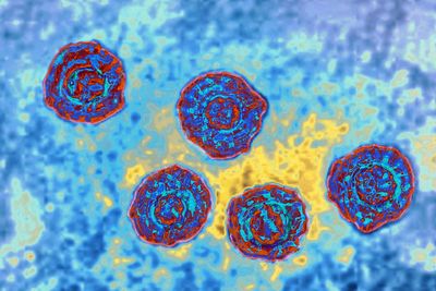 CDC data amplifies calls for funding hepatitis plan - Roll Call